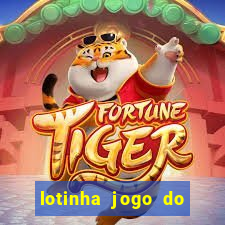 lotinha jogo do bicho como funciona